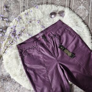 Shimmery Purple DG2 Diane Gilman Pants Size 10PW